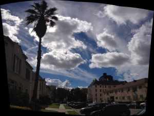 After the rain. L. A., California, November,2014 - Photo by Patsy Faragher